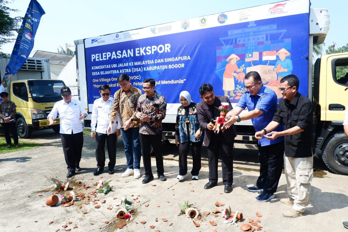 Desa Sejahtera Astra Bogor Ekspor Ubi ke Malaysia dan Singapura