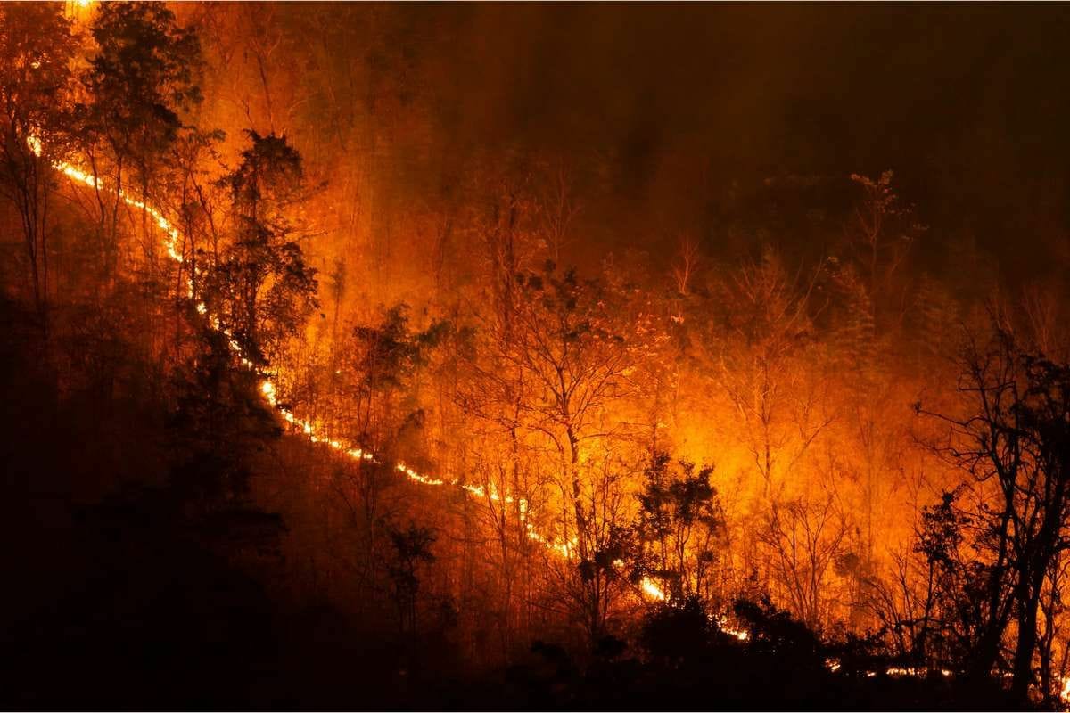 Dua Daerah di Sumbar Disarankan Tetapkan Darurat Karhutla