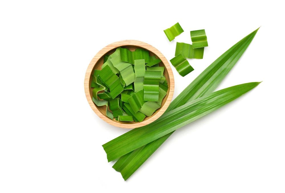 Manfaat Daun Pandan yang Jarang Diketahui!