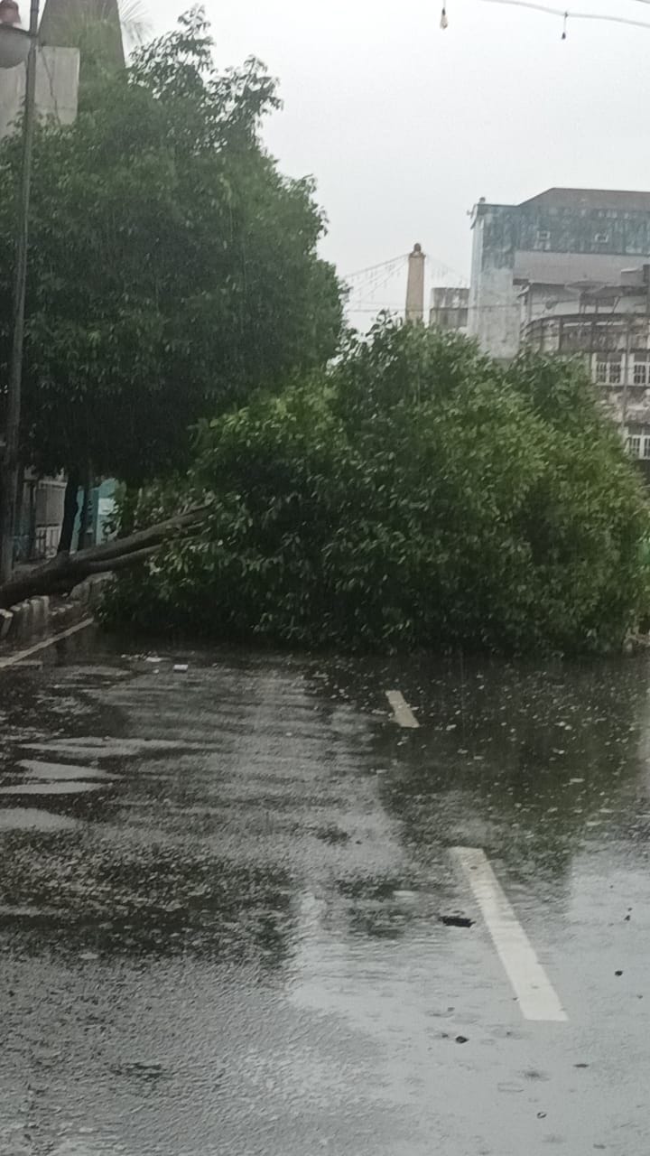 Hujan  mengguyur kota Ambon, disertai angin kencang  mengakibatkan pohon tumbang pada sejumlah ruas jalan dalam dan luar kota.