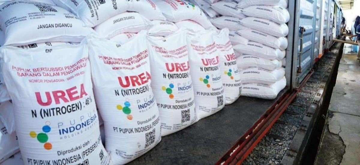 Realisasi Pupuk Bersubsidi di Sumbar Capai 39 Persen