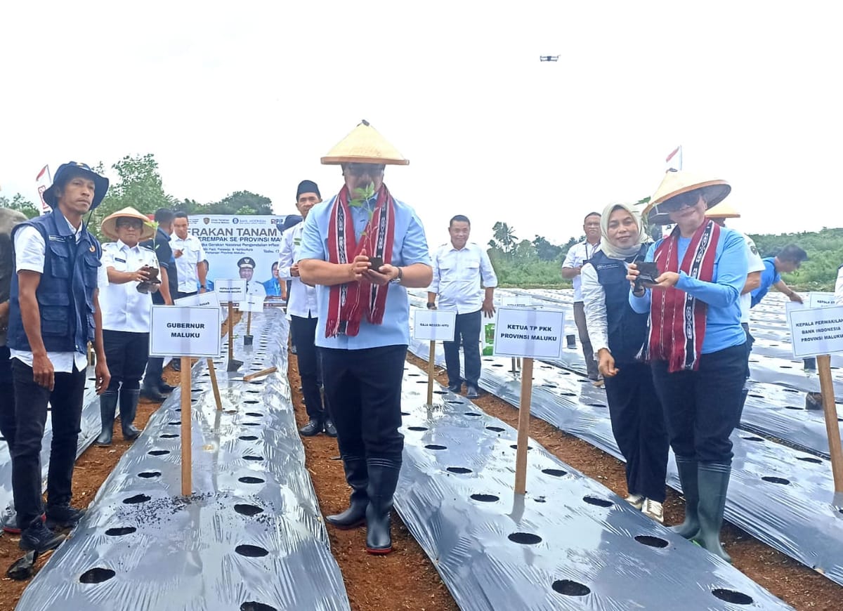 Gubernur Pimpin Gerakan Tanam 100 Ribu Anakan Cabai di Maluku
