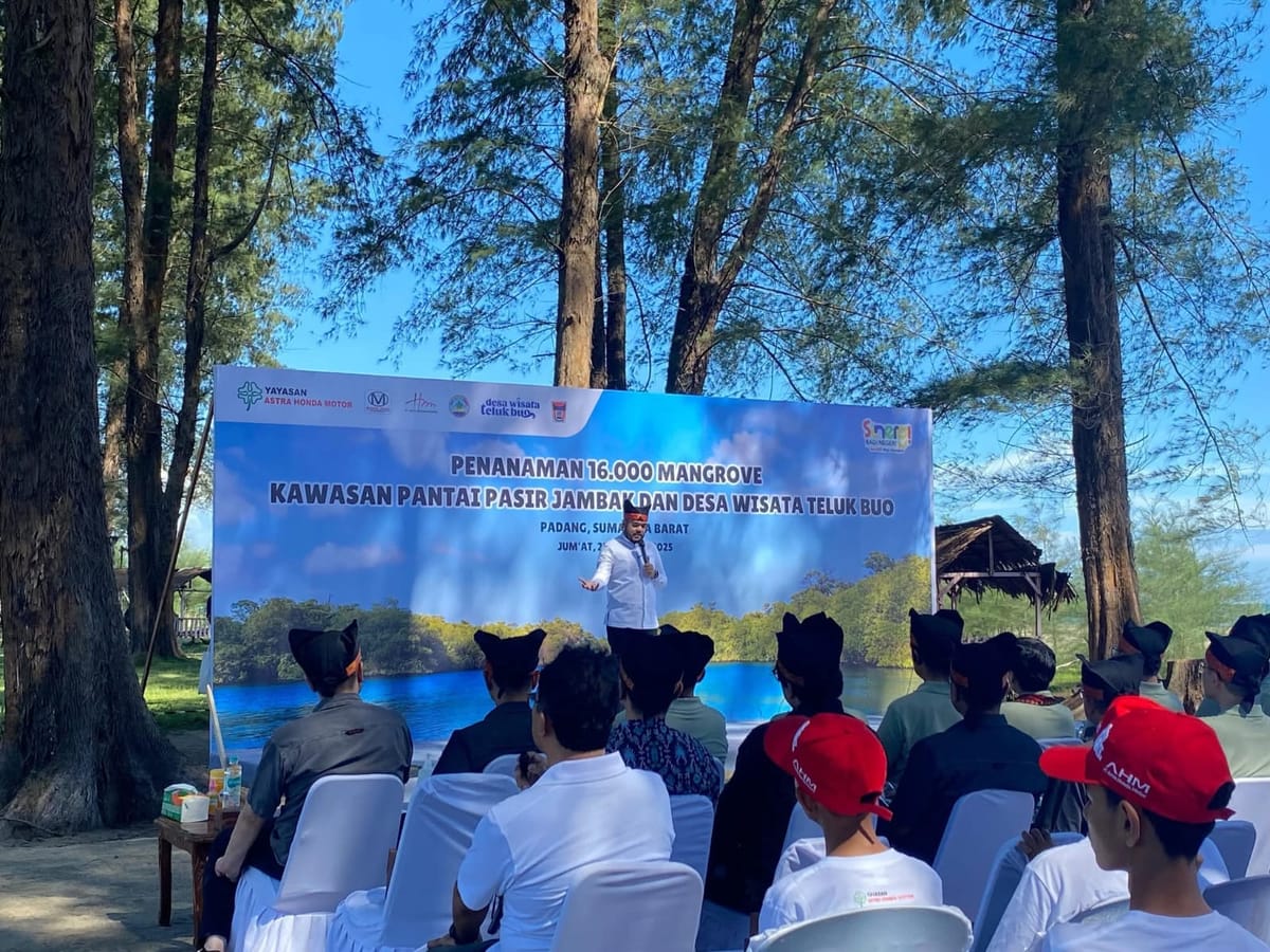 16 Ribu Bibit Mangrove Ditanam, Bentengi Pesisir Padang dari Tsunami