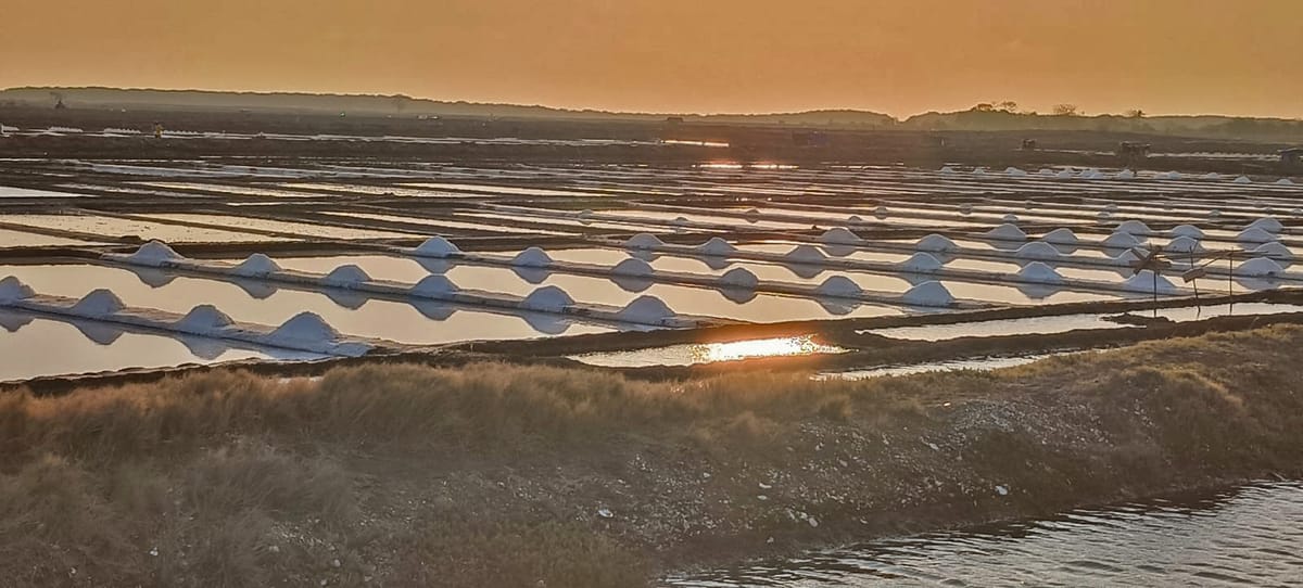 Jeneponto Tawarkan Peluang Investasi Pabrik Garam Industri