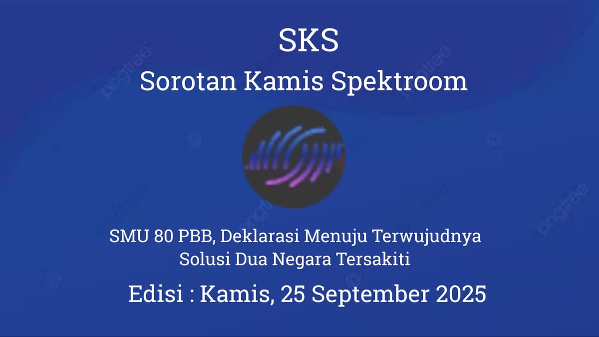SMU 80 PBB, Deklarasi Menuju Terwujudnya Solusi Dua Negara Tersakiti