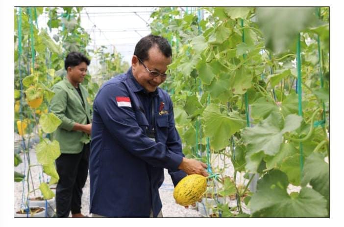 Tingkatkan Produksi Hortikultura, Dinas TPHP Kalteng Gandeng UPN Yogyakarta Terapkan Smart Farming.