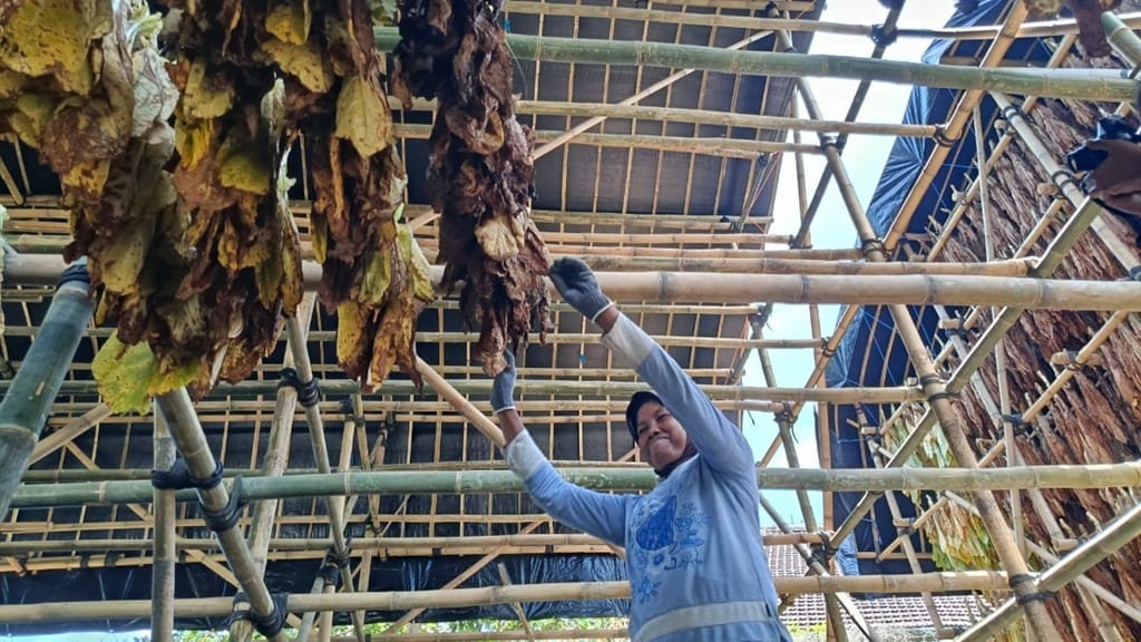 Pemkab Lumajang Latih Tenaga Kerja di 4 Sektor, Siapkan Transformasi Tenaga Kerja