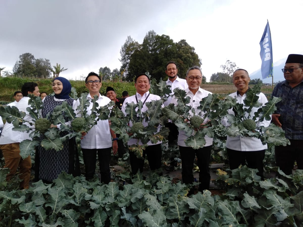 Menko Zulkifli dan PNM Perkuat Ekonomi Petani Lereng Merbabu Dukung Ketahanan Pangan dan Program Makan Bergizi Nasional