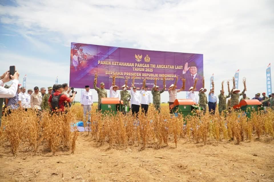 Kolaborasi TNI, Pemerintah Pusat & Daerah Berhasil Percepat Swasembada Pangan Nasional