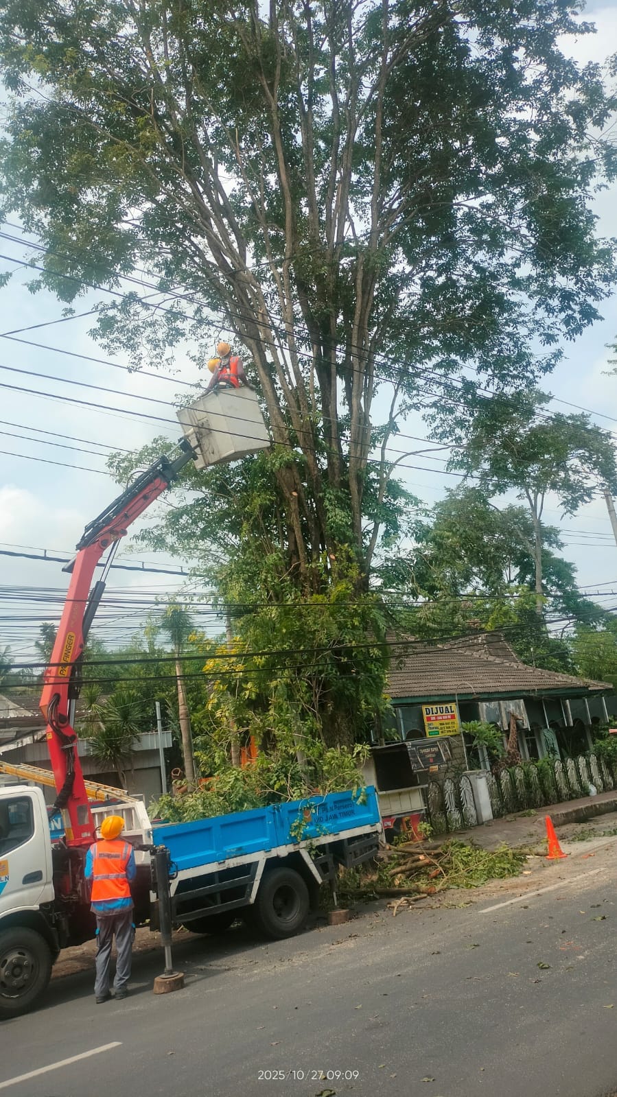 BPBD Jember Laksanakan Pemotongan Pohon Wujudkan Lingkungan Aman Dari Ancaman Bencana