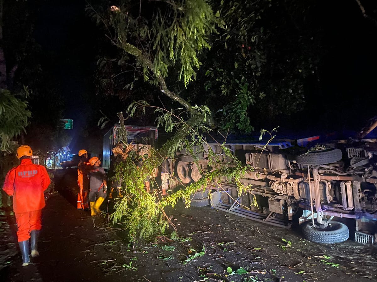 BPBD Jember Gerak Cepat Lakukan Evakuasi Pohon Roboh dan Normalisasi Jalan