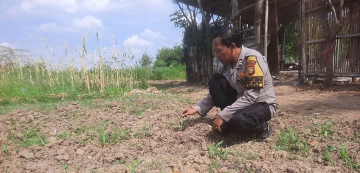 Polsek Cakung Berperan Aktif Mewujudkan Kemandirian Pangan
