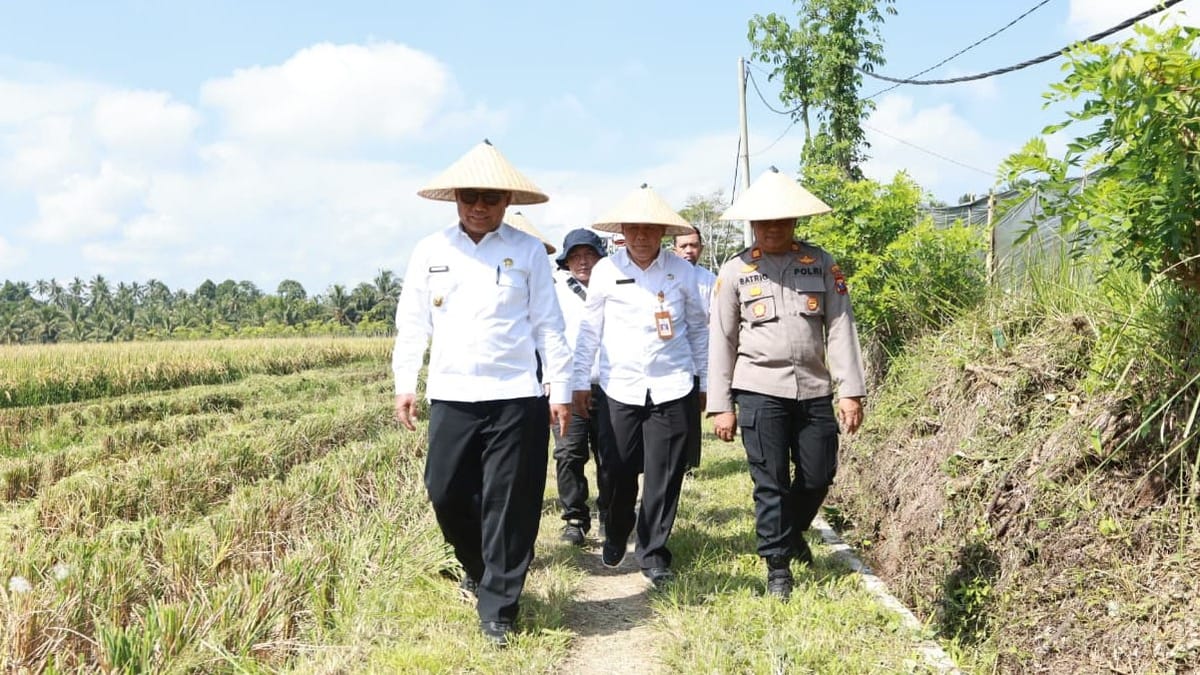 Panen Demplot Padi di Banyuwangi Mampu Hasilkan 8 ton/hektare