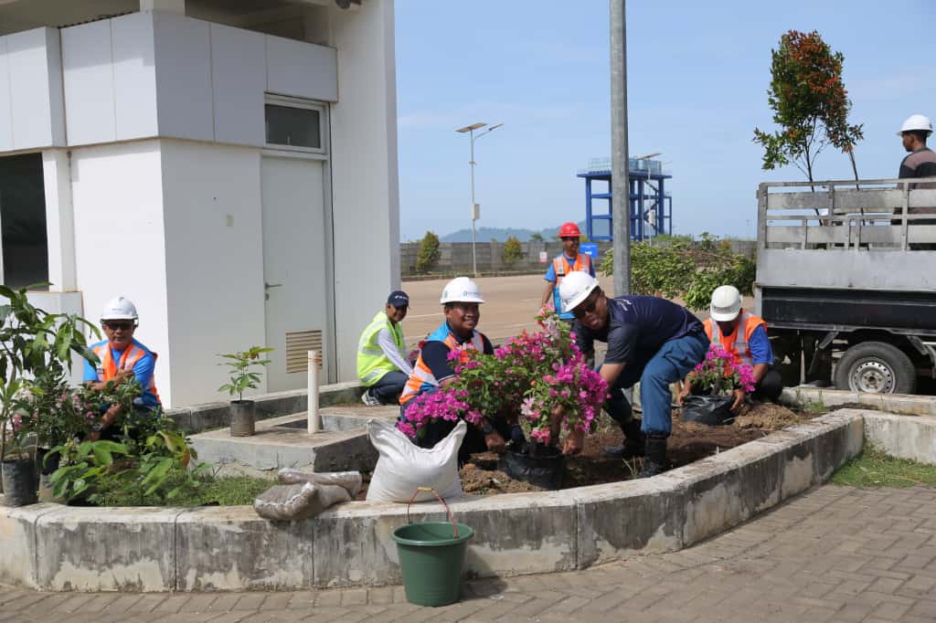 Pelindo Regional 2 Pontianak Tanam 500 Pohon Dukung Program Pelabuhan Hijau