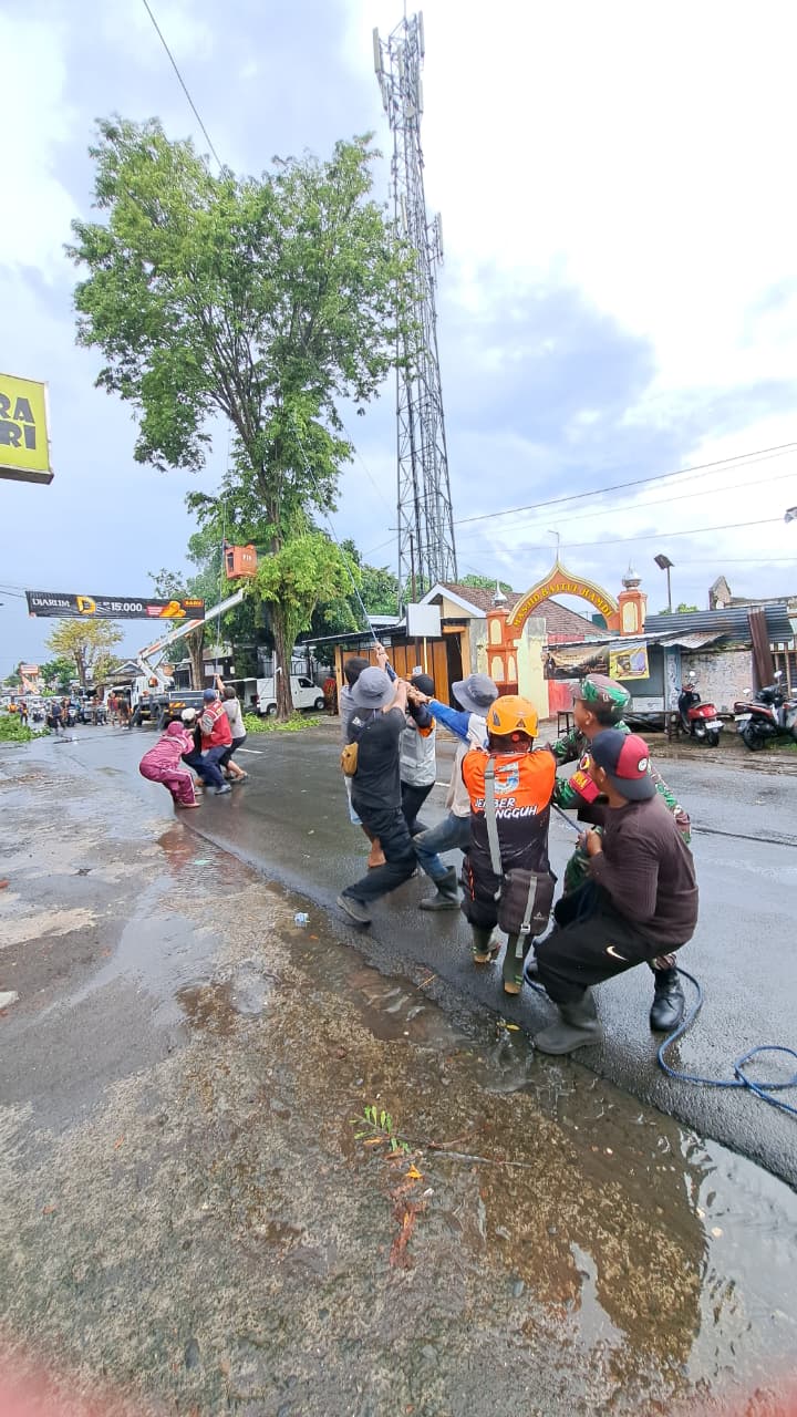 Antisipasi Musim Hujan, BPBD Jember Lanjutkan Pemangkasan Pohon Rawan Tumbang di Jalan Danau Toba