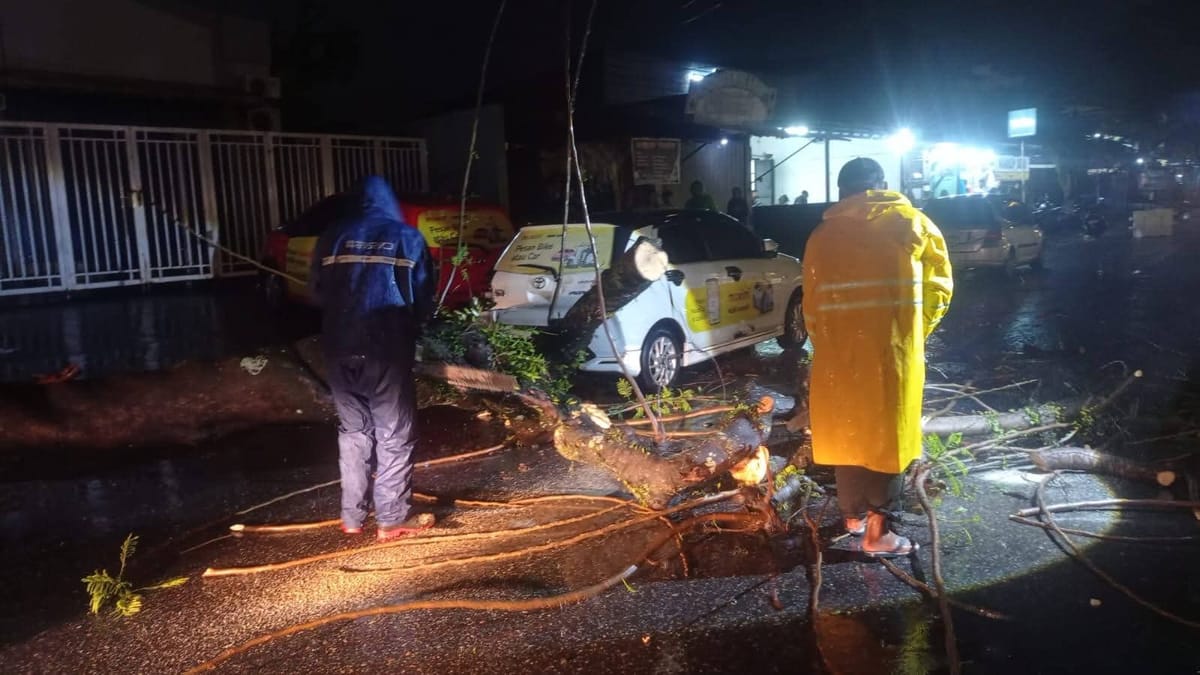 Tiga Hari Dilanda Cuaca Ekstrem, 18 Pohon Tumbang di Padang