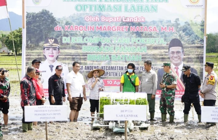 Landak Pimpin Luas Tambah Tanam Padi di Kalbar, Capai 154 Persen dari Target