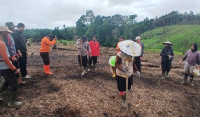 Kolaborasi Polisi dan Warga: Demplot Jagung 1,5 Ha Jadi Contoh Ketahanan Pangan