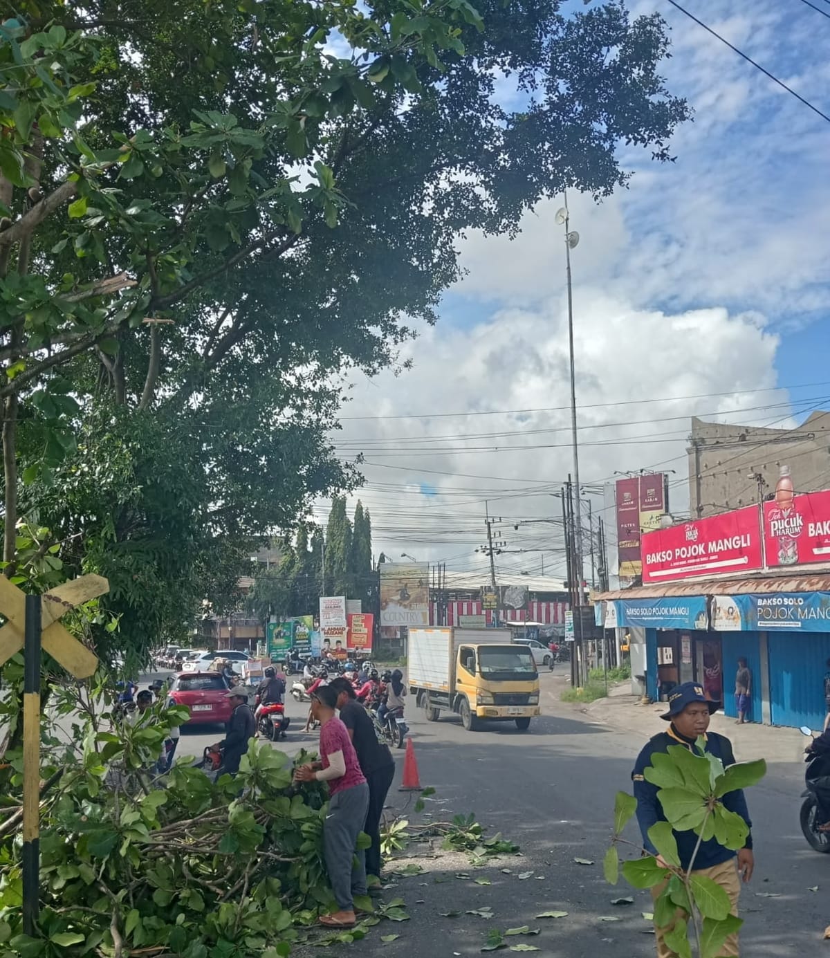Langkah Antisipatif Bencana: BPBD Jember Rampungkan  Pemangkasan Pohon Di Jalur Utama Jember - Surabaya