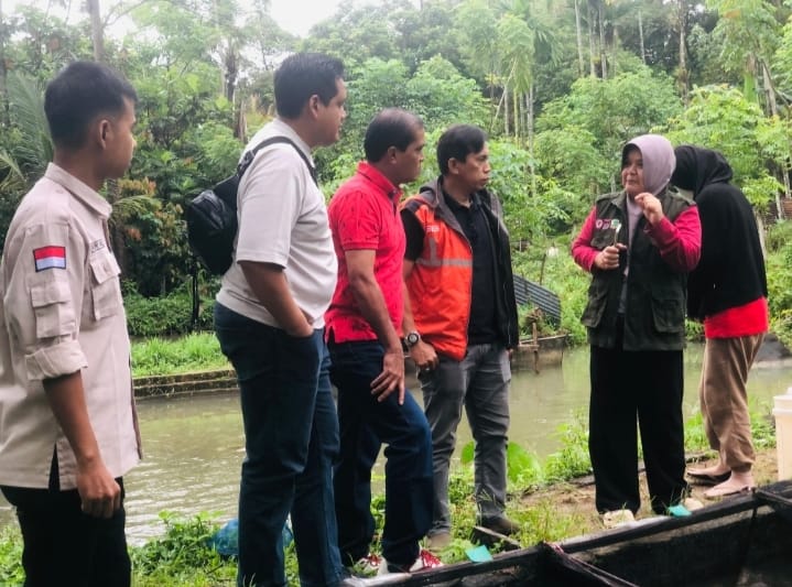 Menakar Efektivitas Maggot, Solusi Baru Pakan Ternak Berkelanjutan