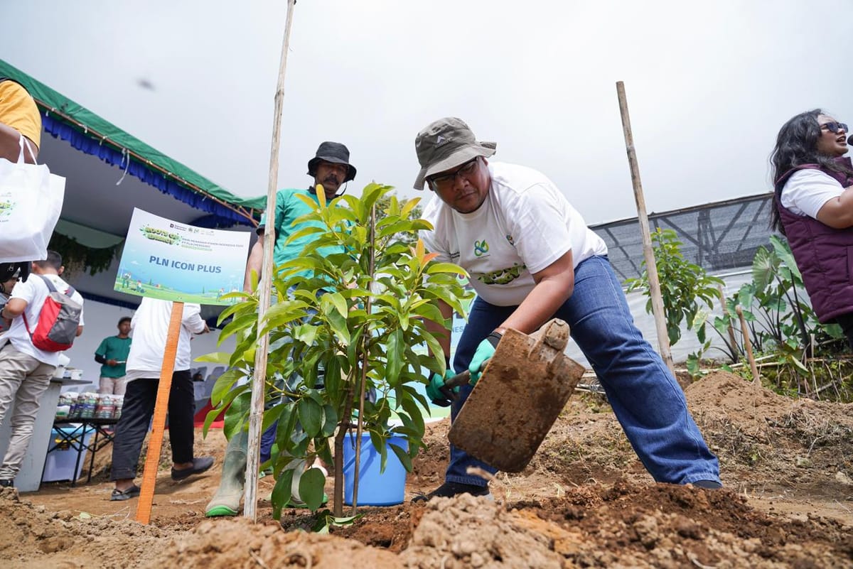 PLN Icon Plus Lakukan Penanaman Pohon Alpukat di Kawasan Hulu DAS Tuntang