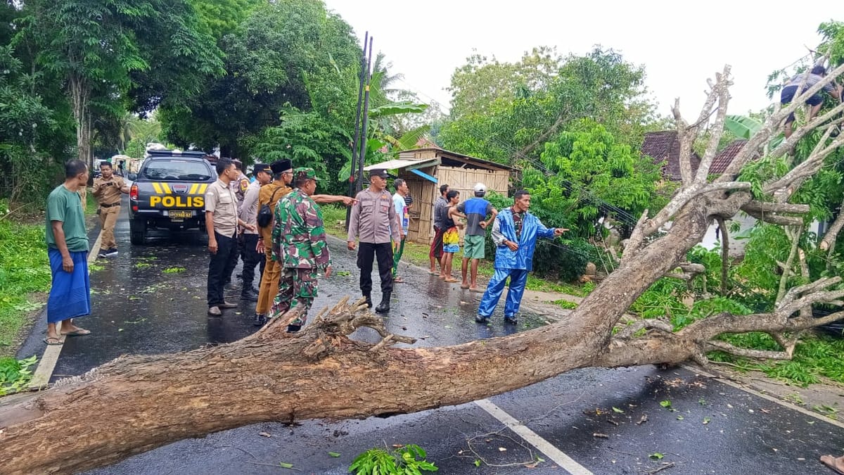 Piket Pamapta Polres Sumenep Tangani Pohon Tumbang di Jalan Raya Gapura, Respons Cepat Jaga Kelancaran Arus Lalu Lintas