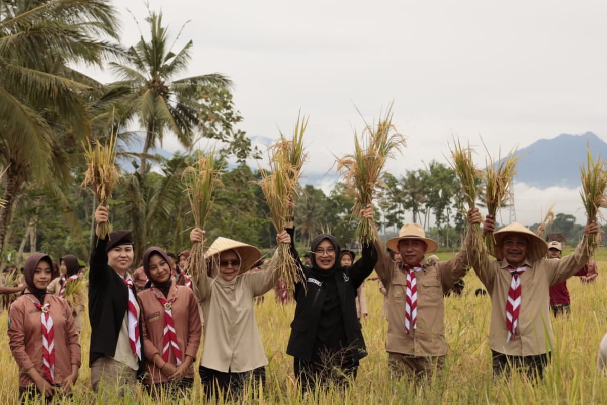 Produksi Padi Dan Jagung Banyuwangi Alami Surplus Signifikan
