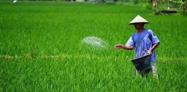 Disperta Kabupaten Madiun Sosialisasikan Penurunan Harga Pupuk Bersubsidi