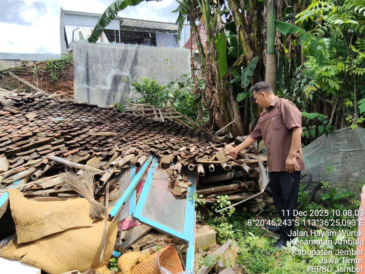BPBD Jember Turunkan Tim Jitupasna Bantu Rumah Lansia di Ambulu Ambruk Mendadak