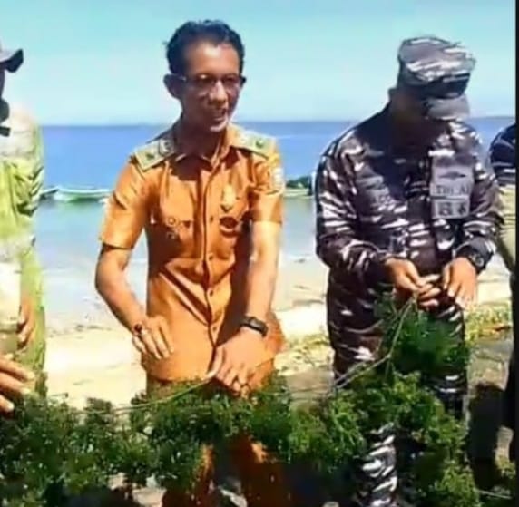 Budidaya Rumput laut di Desa Punaga, Takalar Mampu Tingkatkan Kesejahteraan Warga Setempat