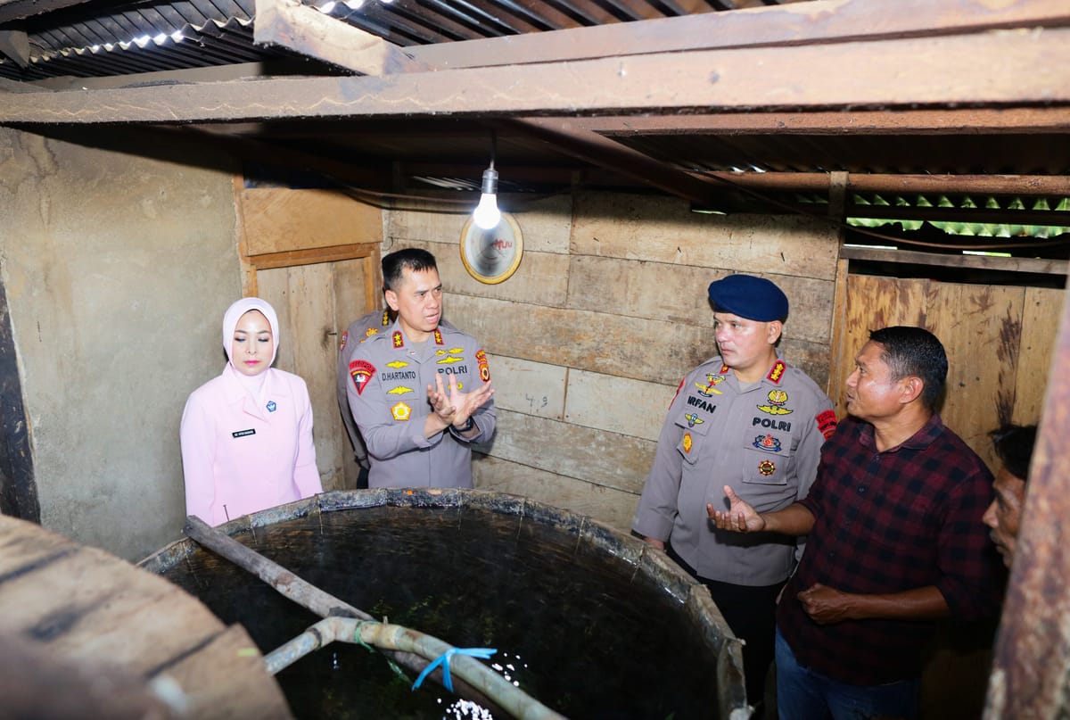 Tinjau Tempat Penyulingan Minyak Kayu Putih di Namlea, Kapolda Dorong Penguatan UMKM dan Perekonomian Masyarakat Lokal