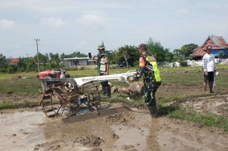 Babinsa Koramil 1425-01 Binamu  Dorong Percepatan Tanam, Tingkatkan Optimisme Petani