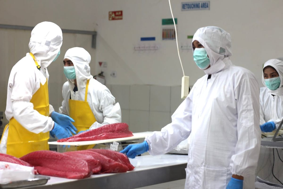 Kinerja Positif Ekspor Hasil Perikanan Maluku Utara Tahun 2025