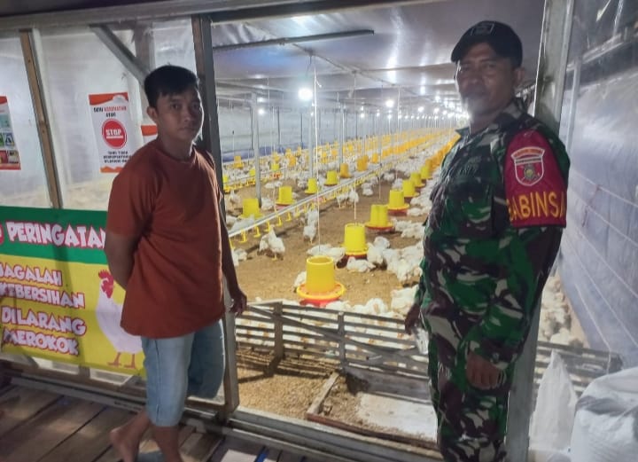 Lakukan Komsos , Babinsa Sambangi Peternak Ayam Potong di Muara Rintis