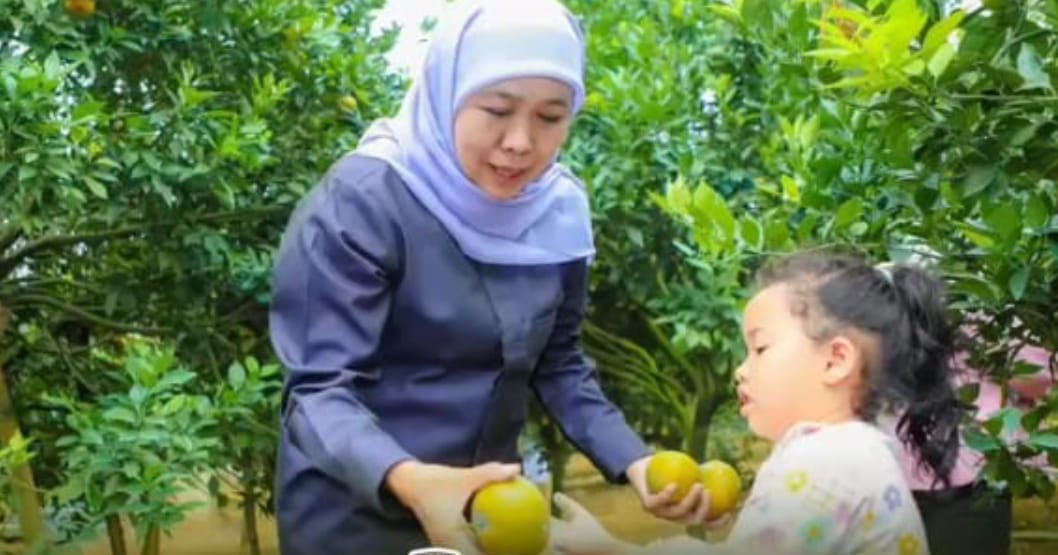 Dari Lereng Tutur, Khofifah Umumkan Jawa Timur Penghasil Jeruk Terbesar Indonesia