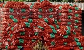 Barentin Karantina Jateng Gagalkan Upaya Penyelundupan 133,5 ton Bawang Bombai