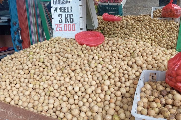 Misteri Manisnya Buah Langsat Punggur, Butuh Penanganan Khusus