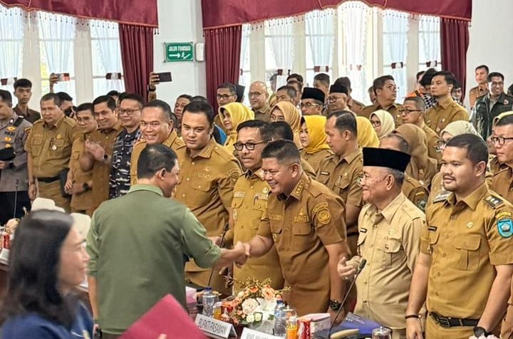 Akses Vital di Pasaman Belum Pulih, Mendagri: Segera Usulkan Jembatan Gantung