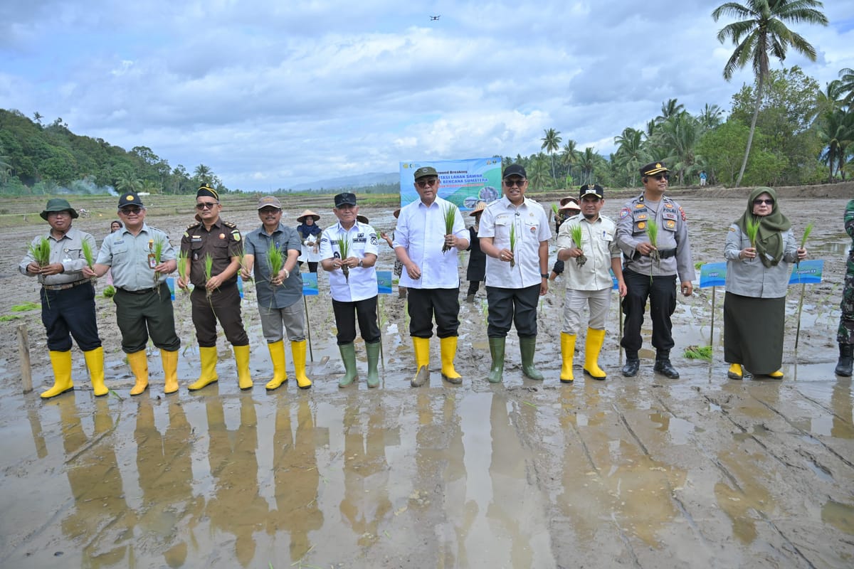 Rehabilitasi Lahan Pertanian Terdampak Bencana di Sumbar Dimulai di Kabupaten Solok