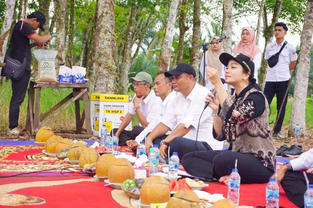 Kabupaten Dharmasraya Implementasikan Program "One Village One Product"