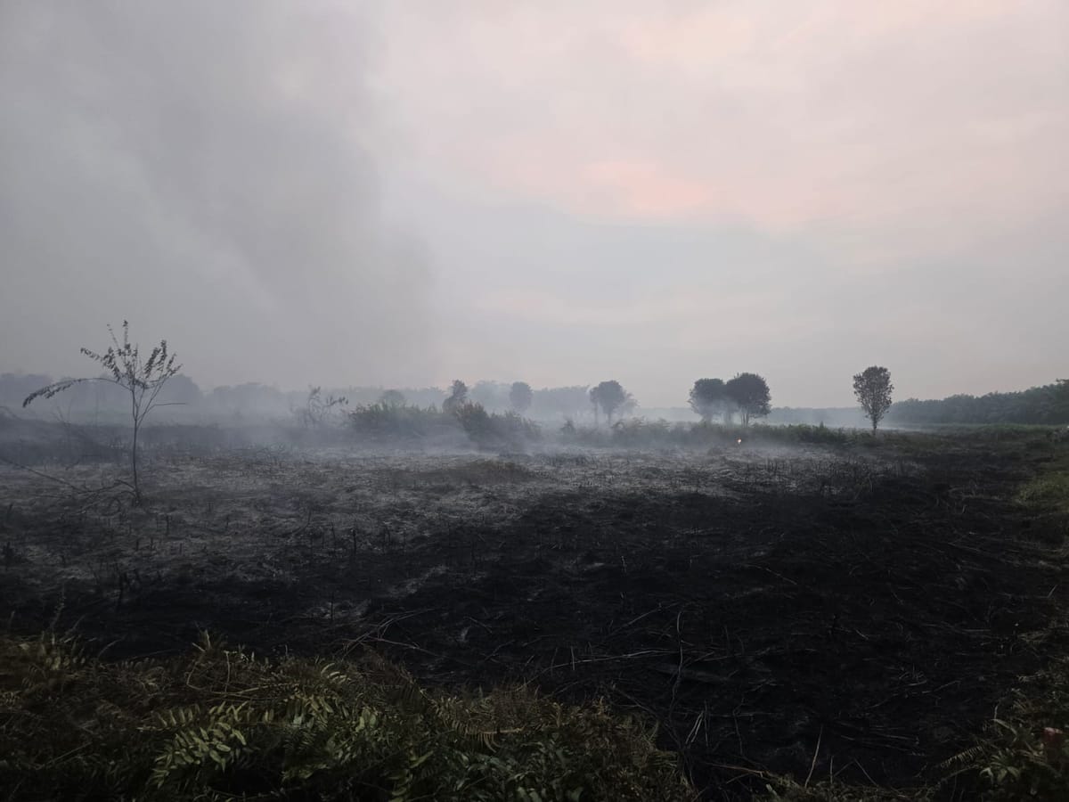 Polisi Selidiki Karhutla 5 Hektare di Sungai Ambawang, Lokasi Dipolice Line