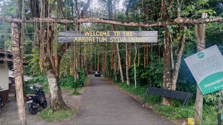 Sylva Untan, Ruang Hijau yang Menjaga Iklim dan Kesehatan