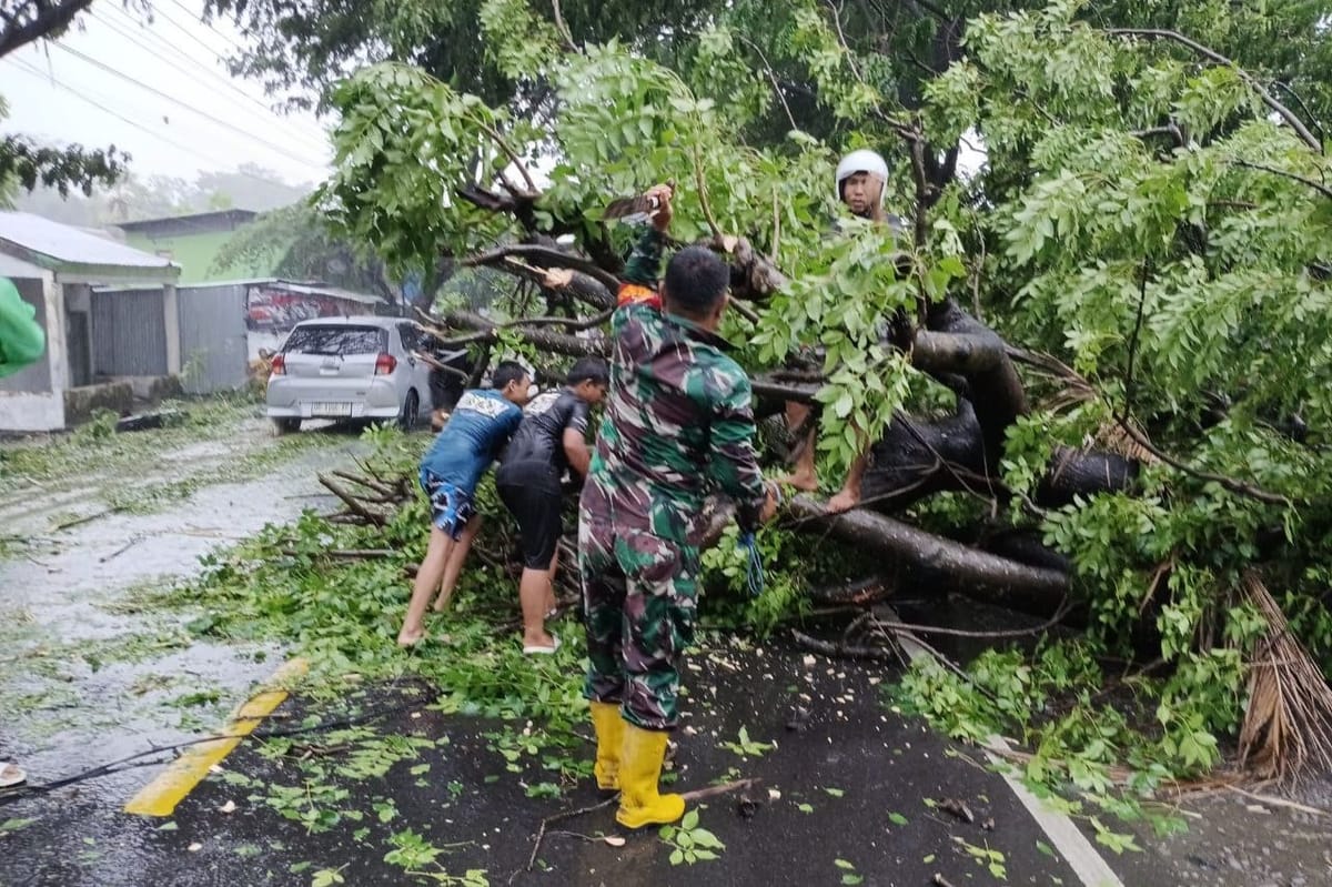Cuaca Ekstrim tak Surutkan Aksi Babinsa Koramil 1425-01 Binamu Evakuasi Pohon Tumbang