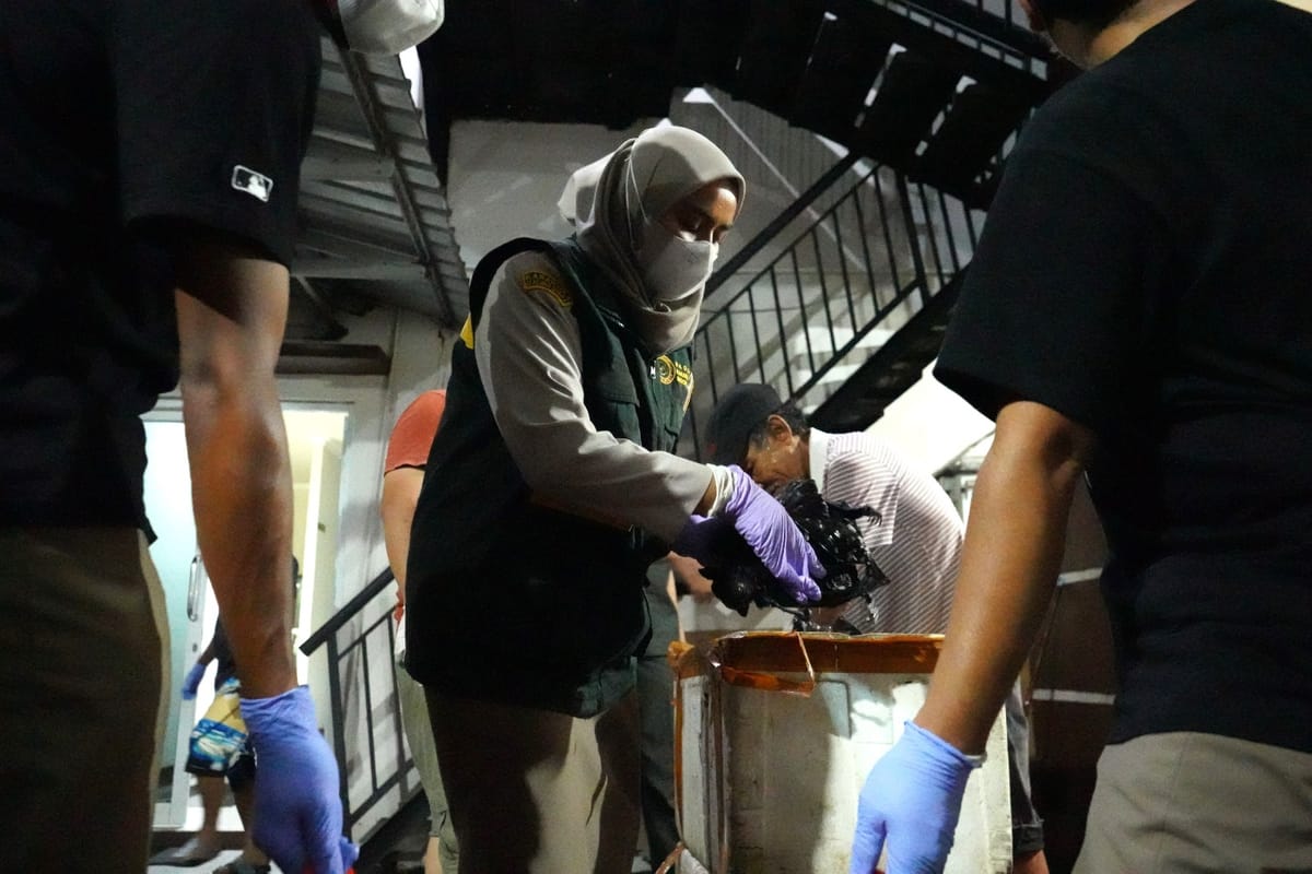 Ratusan Kilo Daging dan Satwa Liar Ilegal Ditahan Karantina Maluku Utara