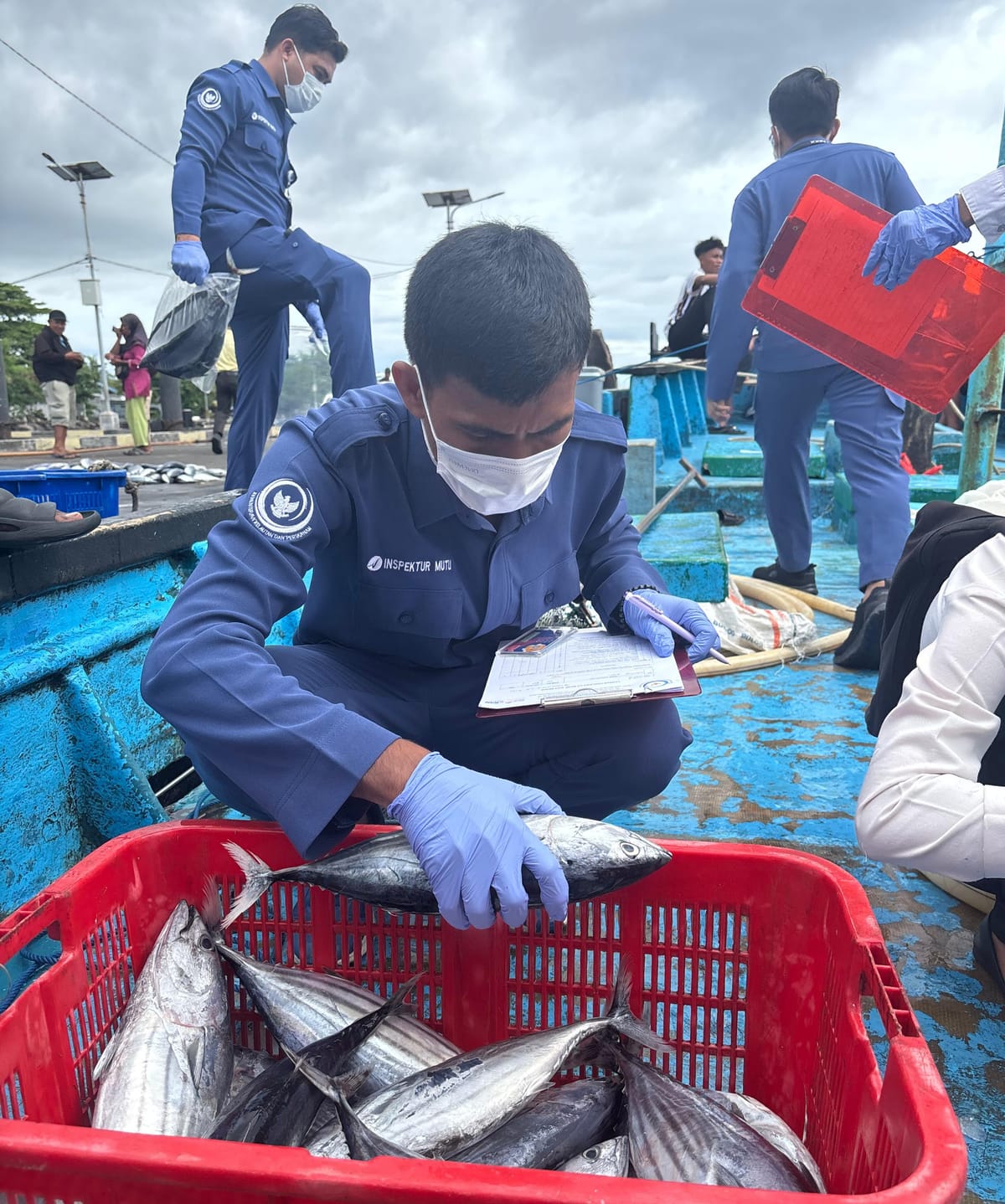 SPPMHKP Ternate Perketat Pengawasan Mutu Ikan Jelang Ramadan