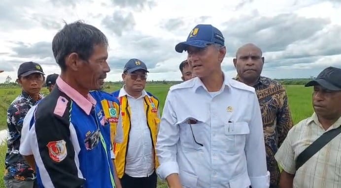 Untuk Perkuat Swasembada Pangan di Papua Selatan  Kementerian PU Perkuat Irigasi Rawa Semangga
