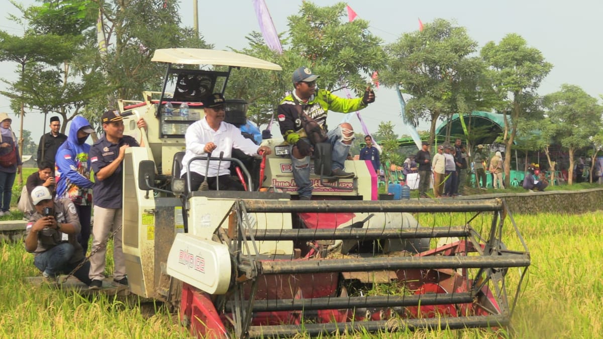 Dukungan Pemkab Rembang Berbuah Manis, Petani Mojorembun Raih Keuntungan Rp30 Juta per Hektare