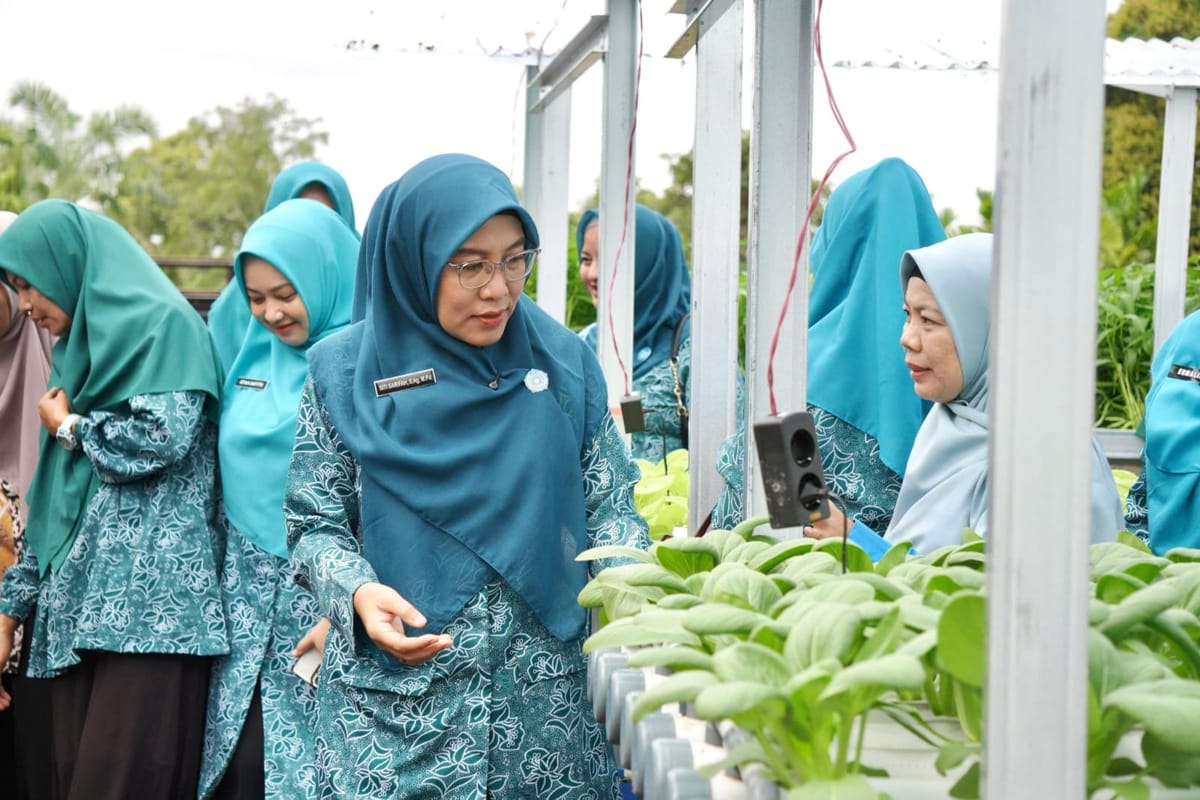 Program Ketahanan Pangan Kampung Berhasil, TP PKK Siak Apresiasi Panen Perdana Rumah Hidroponik KWT Benteng Hulu Mempura