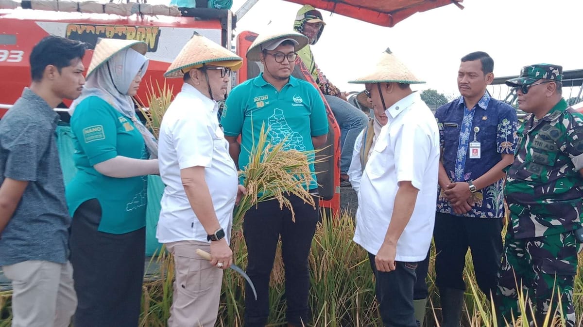 Legislator Senayan Apresiasi Pemda dan Petani Pati Capai Target Produksi 10 Ton Padi Per  Hektar