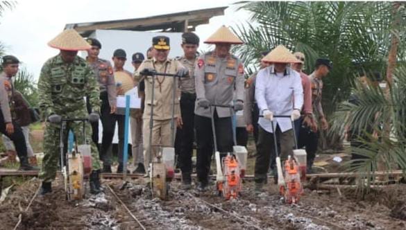 Tanam Jagung di Bawah Sawit: Polda Kalteng Uji Model Baru Ketahanan Pangan